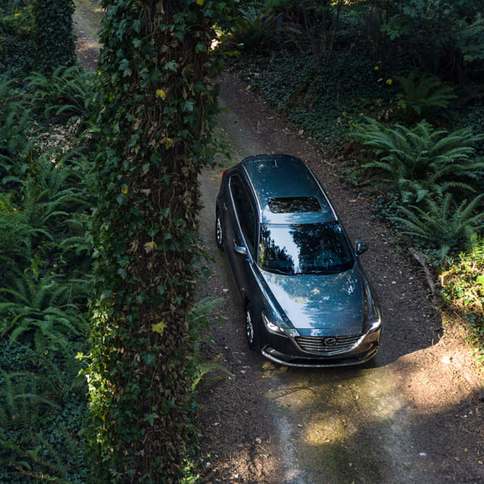 Окружающая среда